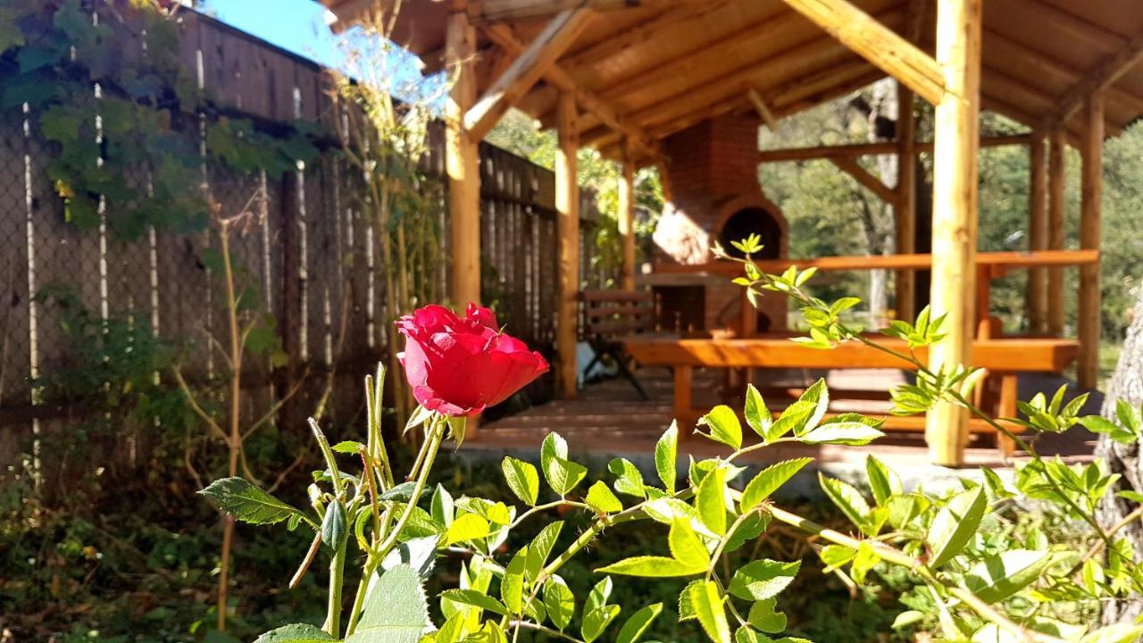 Casa Dorina Villa Бран Екстериор снимка